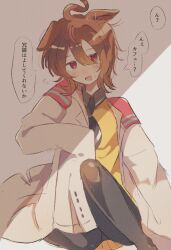 agnes tachyon (umamusume) from umamusume