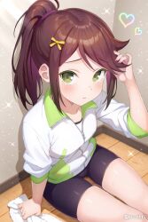 love live! fan art
