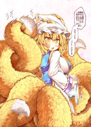 yakumo ran from touhou by mumumu