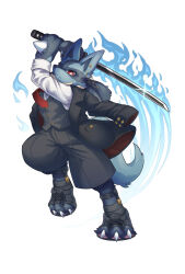 lucario from pokemon
