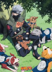 hatake kakashi from naruto (classic)