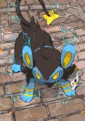 luxio from pokemon by aomon (yuuji7604)