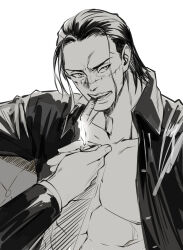 crocodile (one piece) from one piece