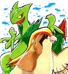 mega sceptile from pokemon