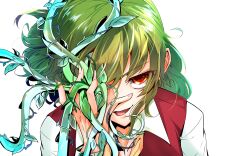 kazami yuuka from touhou by itocoh