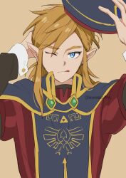 link from the legend of zelda