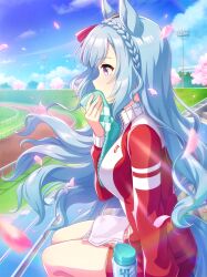 mejiro ardan (umamusume) from umamusume