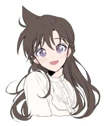 mouri ran from meitantei conan