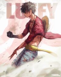 monkey d. luffy from one piece