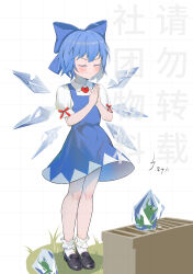 cirno from touhou