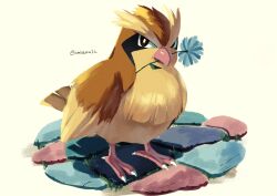 pidgey from pokemon by noahzark1212