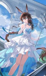 amiya (arknights) from arknights