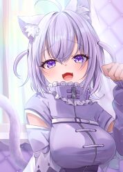 nekomata okayu from hololive