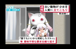 kyubey from mahou shoujo madoka magica by shingyouji tatsuya