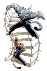 tigress (kung fu panda) from kung fu panda