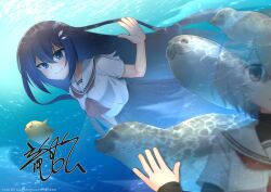 yaotose hinako from watashi wo tabetai hitodenashi by ryukishi07
