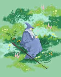 gandalf fan art
