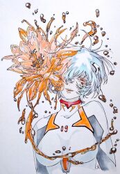 ayanami rei from neon genesis evangelion
