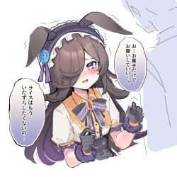 rice shower (umamusume) from umamusume
