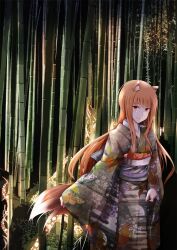 holo from spice and wolf by fudo shin