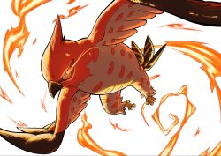 talonflame from pokemon