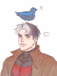 dick grayson from batman (series)