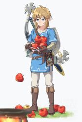 link from the legend of zelda