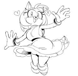 amy rose from sonic (series)