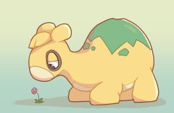 numel from pokemon