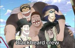 doc q from one piece
