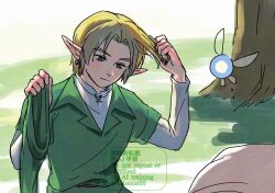 link from the legend of zelda