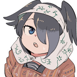 jungle crow (kemono friends) from kemono friends by mcgunngu