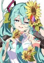 hatsune miku from vocaloid