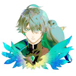 alhaitham (genshin impact) from genshin impact