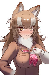 japanese wolf (kemono friends) from kemono friends