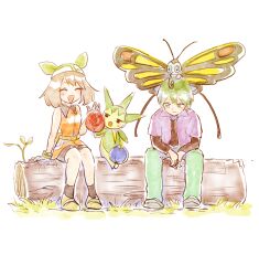 beautifly from pokemon
