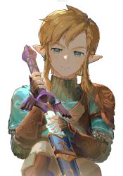 link from the legend of zelda by tsujieiri