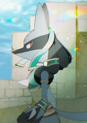 lucario from pokemon by shiro hinageshi