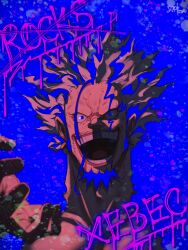 rocks d. xebec from one piece