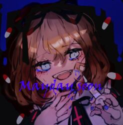 medicine melancholy from touhou by shinjitsu no kuchi