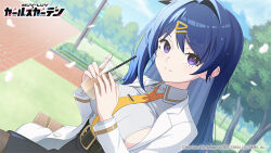 muv-luv fan art