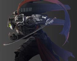 ashikaga chachamaru from soukou akki muramasa