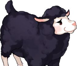 pan (mabinogi) from mabinogi