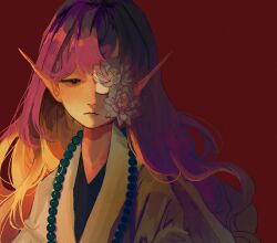 hijiri byakuren from touhou