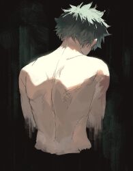 midoriya izuku from boku no hero academia