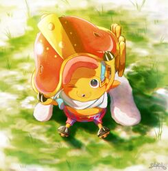 tony tony chopper from one piece