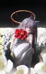 ninomae ina'nis from hololive