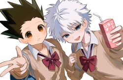 gon freecss from hunter x hunter