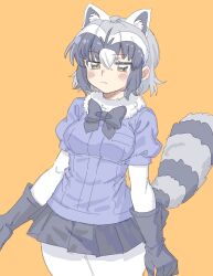 common raccoon (kemono friends) from kemono friends