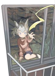 oguri cap (umamusume) from umamusume